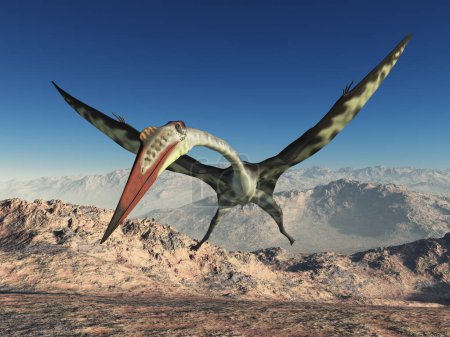Foto de Pterosaurio Quetzalcoatlus sobre un paisaje montañoso - Imagen libre de derechos