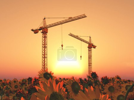 Téléchargez les photos : Grues de construction dans un paysage avec tournesols au coucher du soleil - en image libre de droit