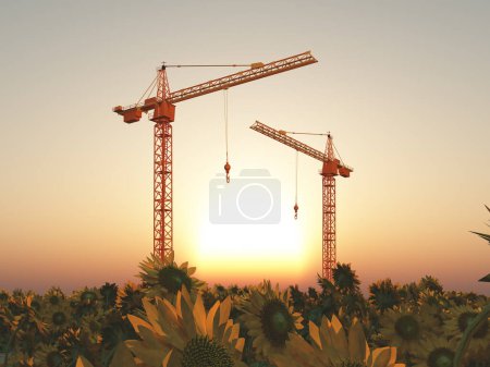 Téléchargez les photos : Deux grues de construction dans un paysage avec tournesols au coucher du soleil - en image libre de droit
