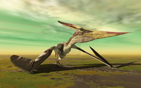 Téléchargez les photos : Pteranodon le ptérosaure se promène dans un paysage - en image libre de droit