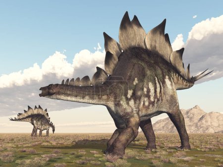 Dinosaur Stegosaurus in a landscape