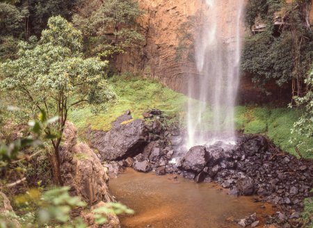 Foto de The 70-metre high Bridal Veil Falls are six kilometres outside Sabie, Mpumalanga in South Africa. They are slow flowing under normal conditions making them appear like a veil. - Imagen libre de derechos