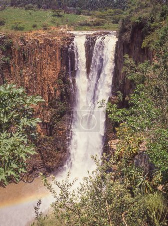 Foto de Howick Falls es una cascada en Howick, provincia de KwaZulu-Natal, Sudáfrica. La cascada mide aproximadamente 95 m de altura y se encuentra en el río Umgeni.. - Imagen libre de derechos