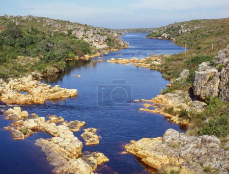 Foto de El río Palmiet es un río localizado en la provincia de Cabo Occidental en Sudáfrica. El río es un río típico del Cabo Occidental, que experimenta precipitaciones invernales y es importante para el suministro de agua al Cabo Occidental.. - Imagen libre de derechos
