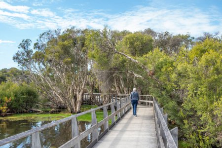 Photo for The Olive Seymour Boardwalk at Herdsmans Lake, located on the Swan Coastal Plain, north-west of Perth, Western Australia. - Royalty Free Image