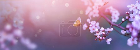 Téléchargez les photos : Art blurred nature Spring blossom background. Nature scene with blooming tree Spring flowers and flying butterfly. Beautiful orchard - en image libre de droit
