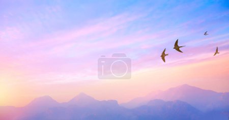 Téléchargez les photos : Abstract beautiful peaceful spring morning sky background; sunrise new day and flying flock of bird - en image libre de droit