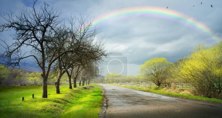 Foto de Art Ukrainian rural landscape. Spring rural landscape with a rainbow over an empty rural road with spring trees - Imagen libre de derechos