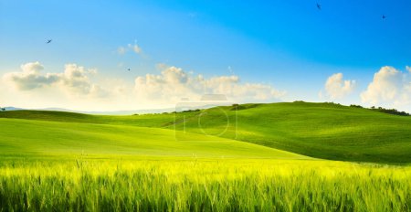 Foto de Art springtime rural landscape. Spring green field and blue sky panoram - Imagen libre de derechos