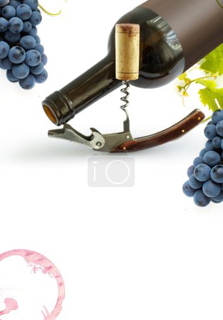 Foto de Bottles of wine with vintage corkscrews and a cork on a white background. Design element for wine list or tasting - Imagen libre de derechos