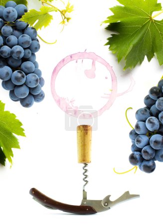 Foto de Concept wine list or wine card design background;  vine and grapes leaf and bottle-screw on white backgroun - Imagen libre de derechos