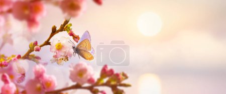 Foto de Spring tree flower background; Easter greeting card design with copy space; - Imagen libre de derechos