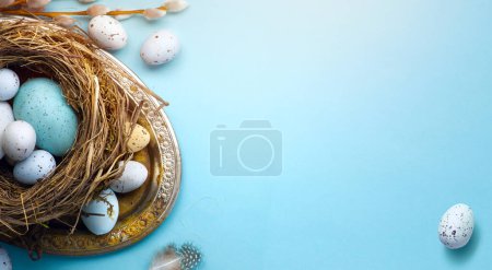 Téléchargez les photos : Carte de vœux de Pâques ou fond de bannière avec oeufs de Pâques et fleurs de printemps sur table bleue - en image libre de droit