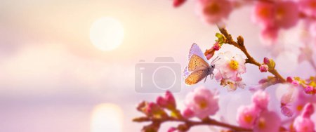 Foto de Fondo de flores de cerezo de primavera; Diseño de tarjeta de felicitación de Pascua con espacio de copia; - Imagen libre de derechos