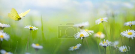 Foto de Fondo abstracto de la naturaleza con flores de primavera; paisaje de flores de primavera - Imagen libre de derechos
