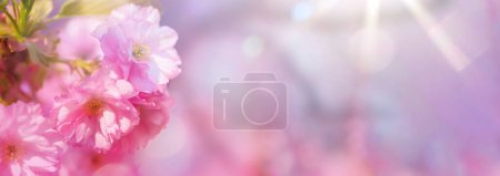 Foto de Foto de primavera de una flor de cerezo rosa contra un cielo soleado sereno. El fondo borroso crea una sensación de movimiento y profundidad, que recuerda a la serena belleza de la primavera. Diseño de fondo para la bandera de la naturaleza de primavera con espacio de copia - Imagen libre de derechos