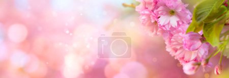 Foto de Borde floral de primavera o arte de fondo con flor de cerezo rosa. Hermosa escena de la naturaleza con el árbol en flor y la llamarada del sol - Imagen libre de derechos
