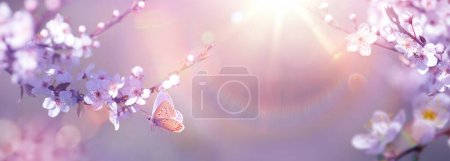 Foto de Diseño panorámico de ramas de cerezo florecientes y mariposa voladora en un jardín soleado de primavera Fondo con espacio para copiar: Concepto de primavera de Pascua - Imagen libre de derechos