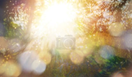 Foto de Abstracto Brillante luz soleada Borrosa Primavera o Verano Naturaleza Fondo - Imagen libre de derechos