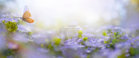 Photo for Beautiful Blurred Spring Background Nature With Blooming Glade and Fly Butterfly Against Blue Sunny Sky on a  Happy Easter Day - Royalty Free Image