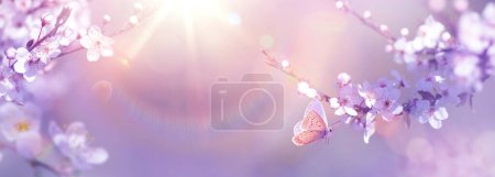 Téléchargez les photos : Conception panoramique de branches de cerisier en fleurs et papillon volant sur un jardin printanier ensoleillé Arrière-plan avec espace de copie : Printemps de Pâques Concept avec espace de copie - en image libre de droit