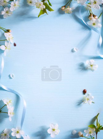 Foto de Frontera de flor de primavera sobre fondo azul; Frontera de flor de primavera blanca; Marco floral de primavera con espacio de copia - Imagen libre de derechos