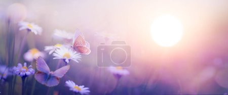 Foto de Naturaleza con hermosa mariposa y flores silvestres de primavera en flor contra el cielo al amanecer; paisaje abstracto con flores de primavera - Imagen libre de derechos