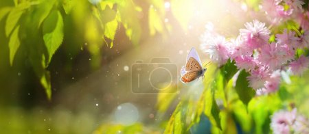 Foto de Arte de fondo de primavera con flor rosa y mariposa mosca. Hermosa escena de la naturaleza con el árbol en flor y la llamarada del sol - Imagen libre de derechos