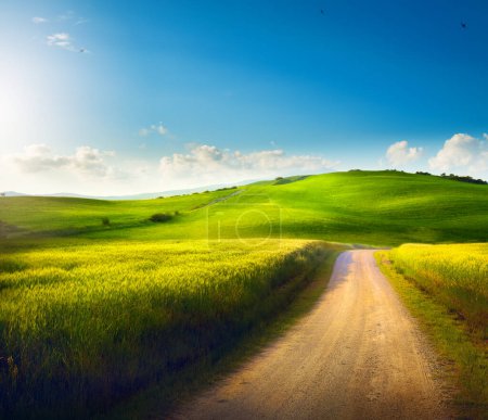 Foto de Campo italiano Panorama del campo verde de verano con camino de tierra y cielo azul nublado. Hermoso paisaje rural de verano italiano; - Imagen libre de derechos