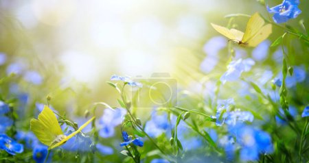 Foto de Arte abstracto primavera o verano fondo floral con flores azules frescas y mariposas voladoras - Imagen libre de derechos