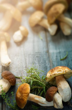 Foto de Setas porcini frescas en la temporada de verano u otoño; hongos cep y especias hierbas en una mesa de madera; Receta italiana - Imagen libre de derechos