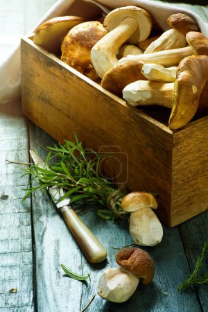 Photo for Basket with fresh porcini mushrooms in the summer or autumn season; cep mushrooms and spices herbs on a wooden table; Italian recip - Royalty Free Image