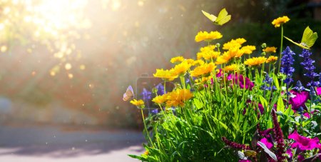 Foto de Fondo floral de verano con flores de colores y mariposa mosca en un fondo de jardín soleado - Imagen libre de derechos
