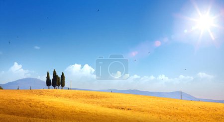 Foto de Paisaje rural típico de Toscana; puesta de sol sobre colinas onduladas y granjas toscanas - Imagen libre de derechos