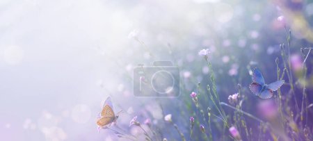 Foto de Verano bosque glade con la hierba que florece, Hermosa flor silvestre y mariposas en un día soleado; iluminación trasera, alta ke - Imagen libre de derechos