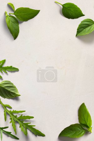 Foto de Arte italiano cocina fondo; pergamino viejo con hojas frescas Albahaca y rúcula - Imagen libre de derechos