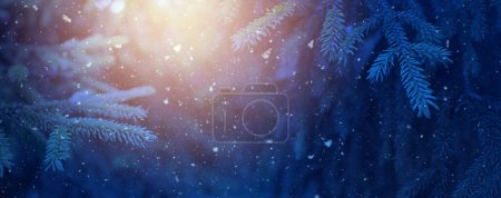 Foto de Concepto de fondo de banner de Navidad e invierno. Navidad ramas de abeto nevado de cerca. - Imagen libre de derechos