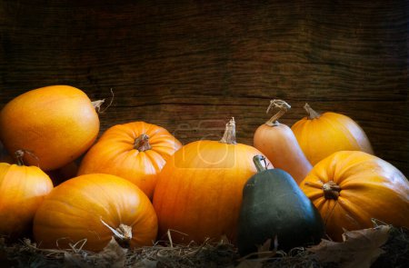 Foto de Calabazas de otoño sobre un fondo de madera como decoración para el día de acción de gracias - Imagen libre de derechos