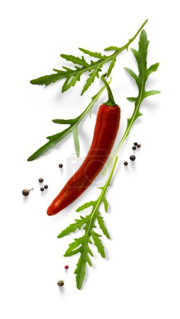 Foto de Hojas de rúcula orgánica verde fresca y peper de chile rojo sobre fondo blanco. Ingrediente, especia para cocinar. colección para el diseño - Imagen libre de derechos