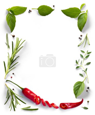 Foto de Marco culinario / frontera Elemento de diseño de alimentos. pimiento rojo picante, especias y hierbas sobre fondo blanco. Variedad de especias y hierbas mediterráneas. - Imagen libre de derechos