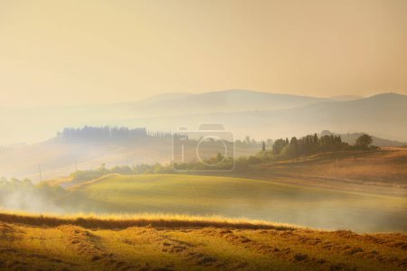 Foto de Impressive panorama Italian landscape, view with cypress trees, vineyards and farmer's fields. Tuscany, Italy - Imagen libre de derechos