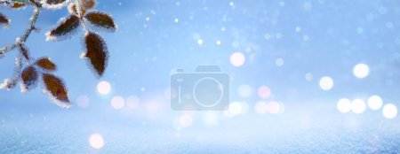 Téléchargez les photos : Paysage hivernal givré dans une forêt enneigée. Fond de Noël avec branche d'arbre et fond d'hiver enneigé flou. hiver Cadre ou bordure - en image libre de droit
