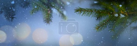 Foto de Las ramas de abeto nevado de Navidad se cierran. Marco de concepto de Navidad e invierno o frontera - Imagen libre de derechos