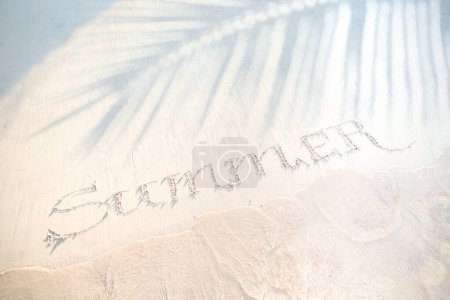 Téléchargez les photos : Bannière de vacances de voyage tropical d'été. plage de sable fin, ombre de palmiers et vagues sur le bord de l'eau ; concept de bannière de vacances d'été avec espace de copie - en image libre de droit