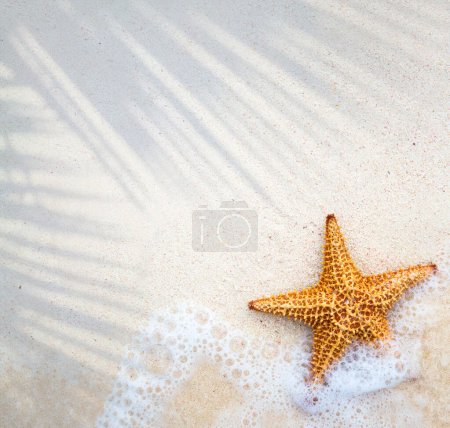 Foto de Banner de vacaciones tropicales de verano abstracto; playa de arena y ola en el borde del agua clara, estrellas de mar en la arena; banner de concepto de vacaciones de verano con spac copia - Imagen libre de derechos