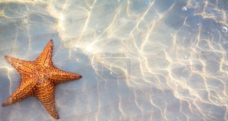 Téléchargez les photos : Belle été tropical vacances ensoleillé plage de sable backgroun - en image libre de droit