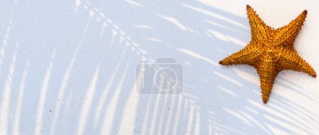 Foto de Vista superior de la sombra de las hojas tropicales en la superficie de la playa de arena. Sombra de hojas de palma en la playa de arena blanca. Hermosa bandera abstracta concepto de fondo para las vacaciones de verano en la playa. - Imagen libre de derechos