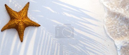 Téléchargez les photos : Vue de dessus de l'ombre des feuilles tropicales sur la surface de la plage de sable. Ombre de feuilles de palmier sur la plage de sable blanc. Belle bannière conceptuelle abstraite pour les vacances d'été à la plage. - en image libre de droit