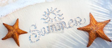 Téléchargez les photos : Bannière de vacances de voyage tropical d'été. Étoile de mer sur la plage de sable de l'océan, ombre de palmiers et vagues sur le bord de l'eau ; concept de bannière vacances d'été avec copie spac - en image libre de droit