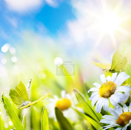 Téléchargez les photos : Fond printanier de Pâques avec prairie de fleurs avec des fleurs de printemps blanches et des papillons jaunes par une journée ensoleillée. Matin de Pâques - en image libre de droit